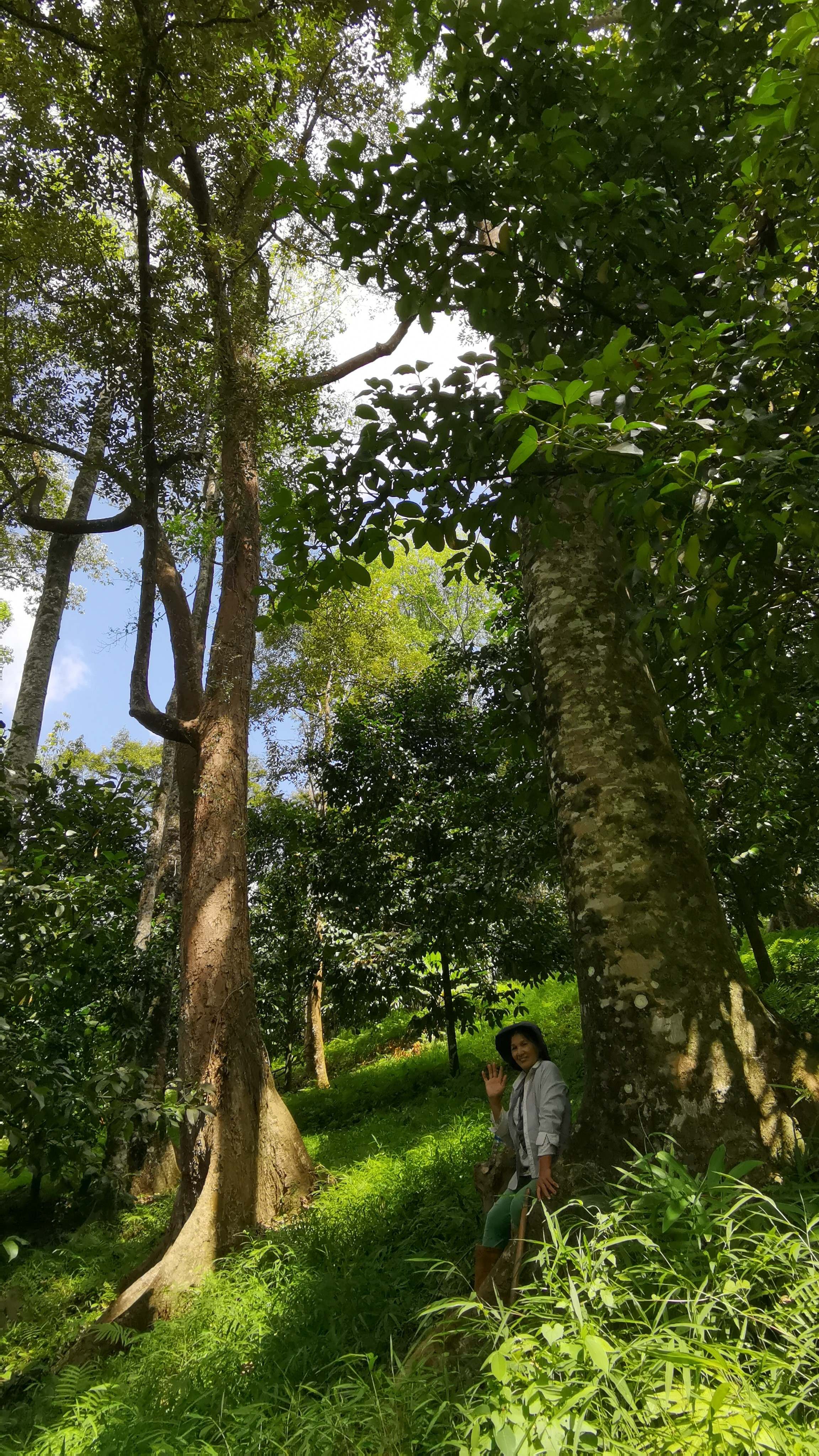 Chaba and her 84-year-old mother at their 60-year-old family hilltop orchard in Baan Khiri Wong.