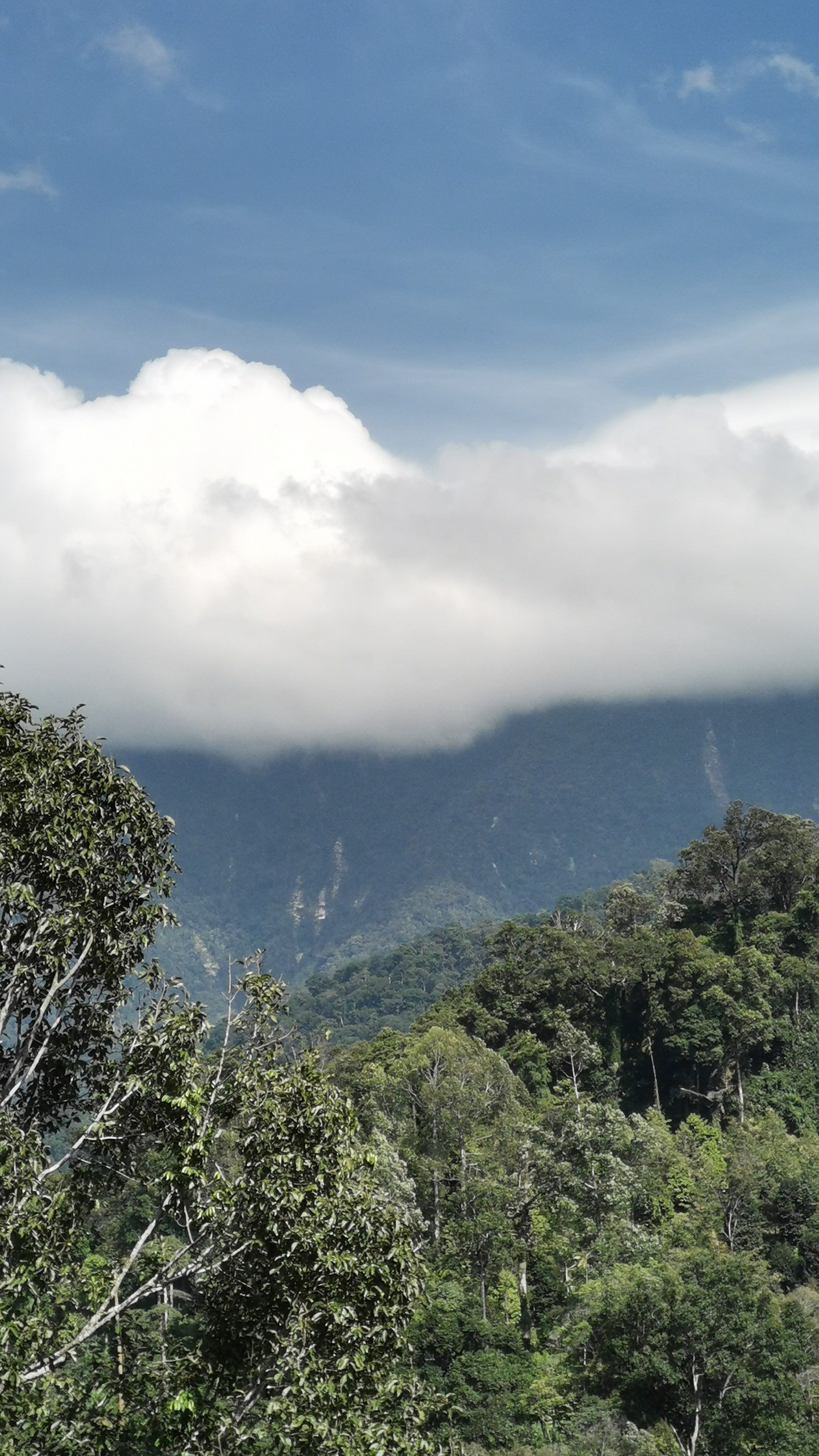 The hiking trail to Sky Farm and Kinaree Waterfall rock-runs in the mountains above Baan Khiri Wong.